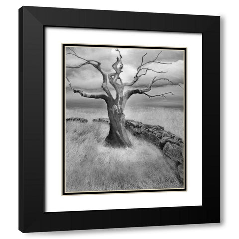 The Meadow Black Modern Wood Framed Art Print with Double Matting by Fisch, Ellen