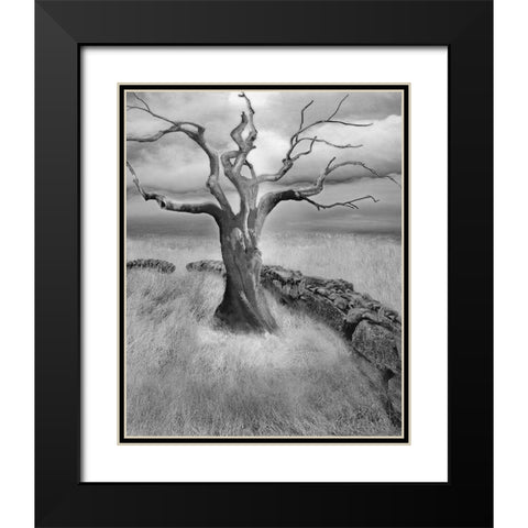 The Meadow Black Modern Wood Framed Art Print with Double Matting by Fisch, Ellen