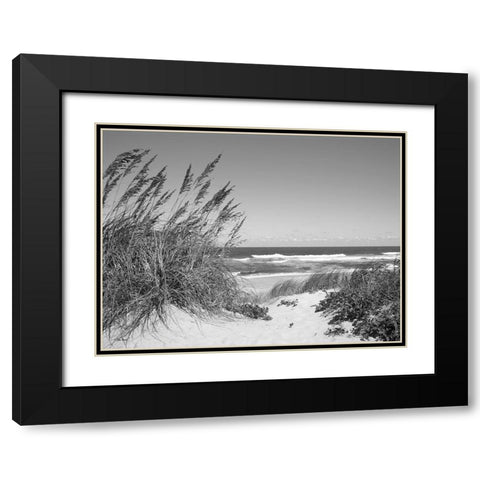 Dune Path Black Modern Wood Framed Art Print with Double Matting by Turek, Eve
