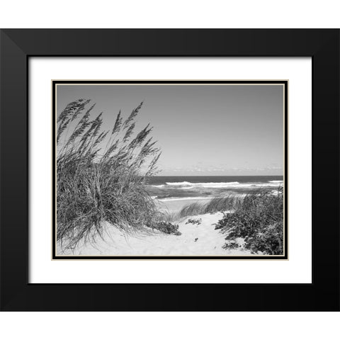 Dune Path Black Modern Wood Framed Art Print with Double Matting by Turek, Eve