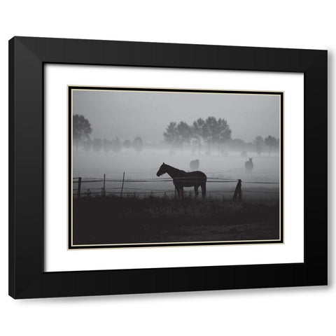 Grazing in the Mist Black Modern Wood Framed Art Print with Double Matting by Anonymous