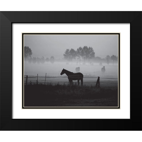 Grazing in the Mist Black Modern Wood Framed Art Print with Double Matting by Anonymous