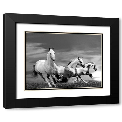 White Stallions Black Modern Wood Framed Art Print with Double Matting by Anonymous