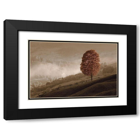 Lovely Mountain Tree Black Modern Wood Framed Art Print with Double Matting by Kotenko, O.