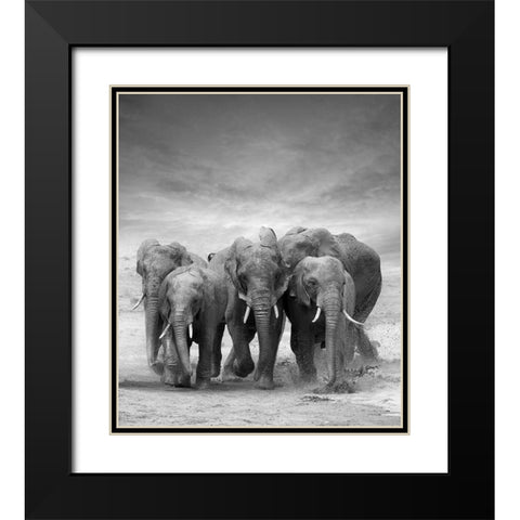 Elephant Herd Black Modern Wood Framed Art Print with Double Matting by Byrdyak, V.