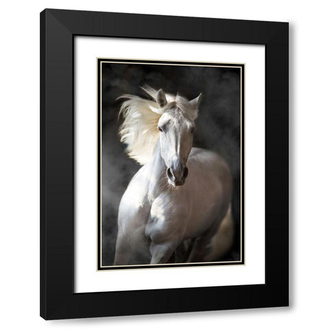 White Andalusian Black Modern Wood Framed Art Print with Double Matting by Golubenko, S.
