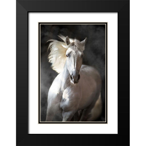 White Andalusian Black Modern Wood Framed Art Print with Double Matting by Golubenko, S.