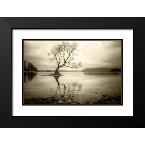 Lone Tree in a Lake Black Modern Wood Framed Art Print with Double Matting by Rushton, Ian