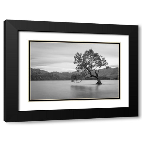 Iconic Lake Tree Black Modern Wood Framed Art Print with Double Matting by Anon