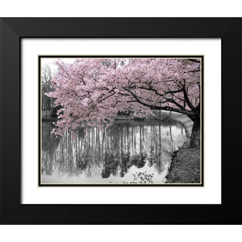 Violet Reflections II Black Modern Wood Framed Art Print with Double Matting by Anonymous