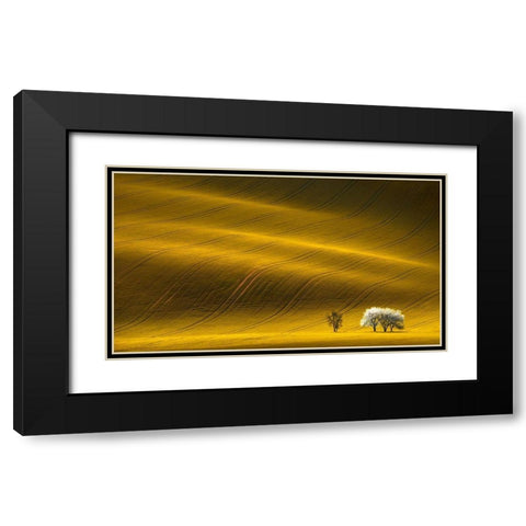 Majestic Field with White Trees Black Modern Wood Framed Art Print with Double Matting by Uladzislau, S.