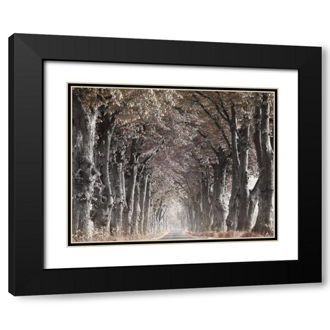 Down The Country Road Black Modern Wood Framed Art Print with Double Matting by Anonymous