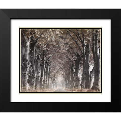 Down The Country Road Black Modern Wood Framed Art Print with Double Matting by Anonymous