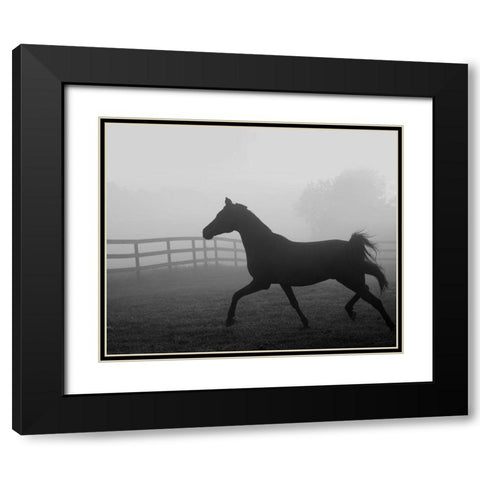 Morning Pasture II Black Modern Wood Framed Art Print with Double Matting by Anonymous