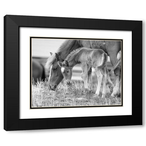 Like Mother, Like Son Black Modern Wood Framed Art Print with Double Matting by Turek, Eve