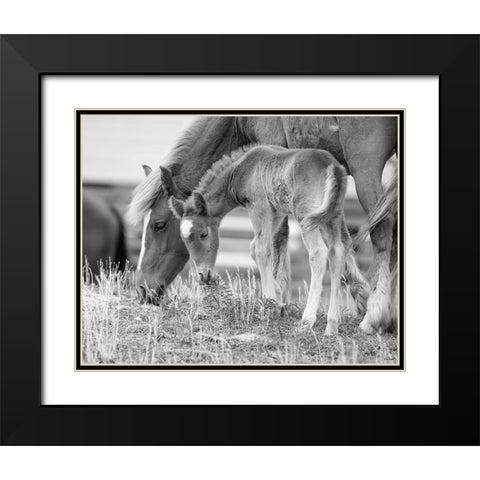 Like Mother, Like Son Black Modern Wood Framed Art Print with Double Matting by Turek, Eve