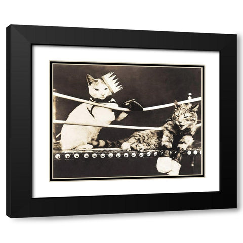 Catfight Black Modern Wood Framed Art Print with Double Matting by Anonymous