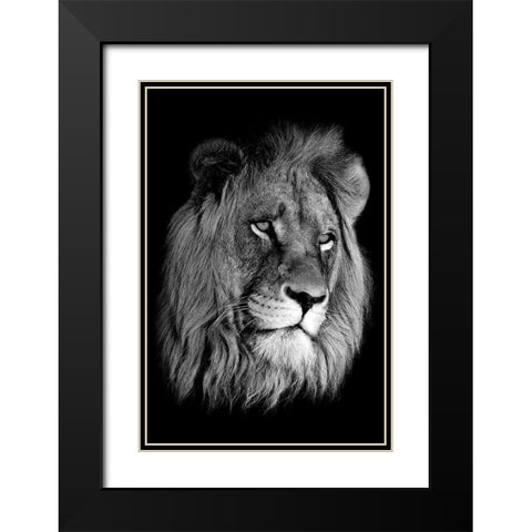 Lion King Black Modern Wood Framed Art Print with Double Matting by Anon