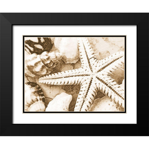 Starfish Impression Black Modern Wood Framed Art Print with Double Matting by Anonymous