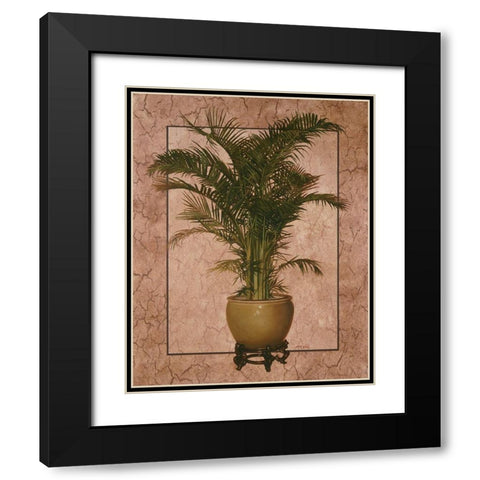 Potted Palm I Black Modern Wood Framed Art Print with Double Matting by Unknown