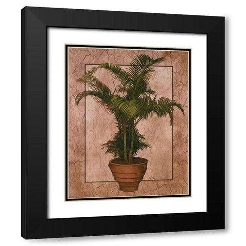 Potted Palm II Black Modern Wood Framed Art Print with Double Matting by Unknown