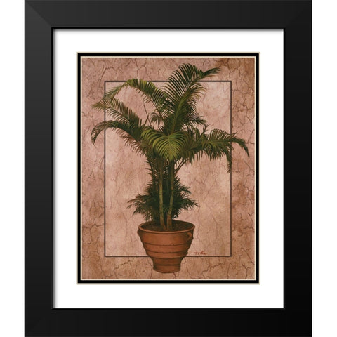 Potted Palm II Black Modern Wood Framed Art Print with Double Matting by Unknown