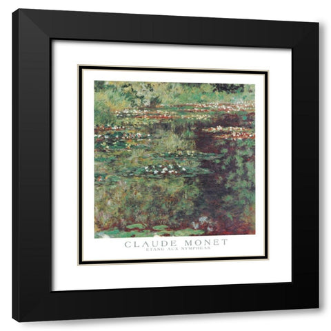 Etang aux Nympheas Black Modern Wood Framed Art Print with Double Matting by Monet, Claude