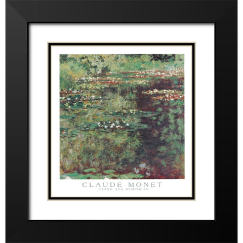 Etang aux Nympheas Black Modern Wood Framed Art Print with Double Matting by Monet, Claude