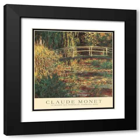 Le Bassin aux Nympheas Black Modern Wood Framed Art Print with Double Matting by Monet, Claude