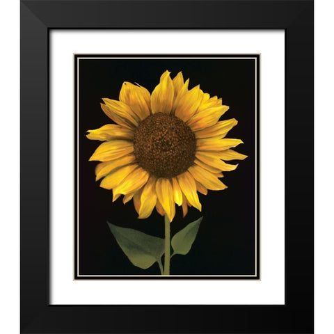 Sunflower I Black Modern Wood Framed Art Print with Double Matting by Unknown