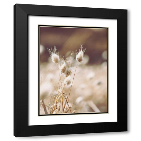 Herbes des Champs 1 Black Modern Wood Framed Art Print with Double Matting by BRAUN Studio