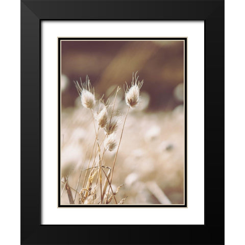 Herbes des Champs 1 Black Modern Wood Framed Art Print with Double Matting by BRAUN Studio