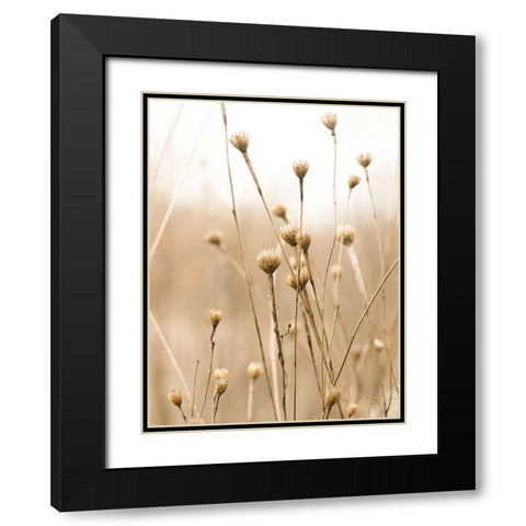 Herbes des Champs 2 Black Modern Wood Framed Art Print with Double Matting by BRAUN Studio