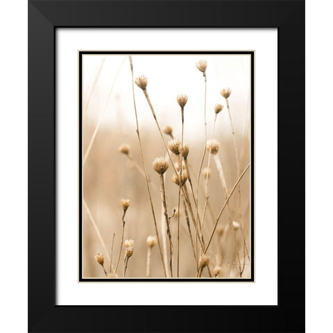Herbes des Champs 2 Black Modern Wood Framed Art Print with Double Matting by BRAUN Studio