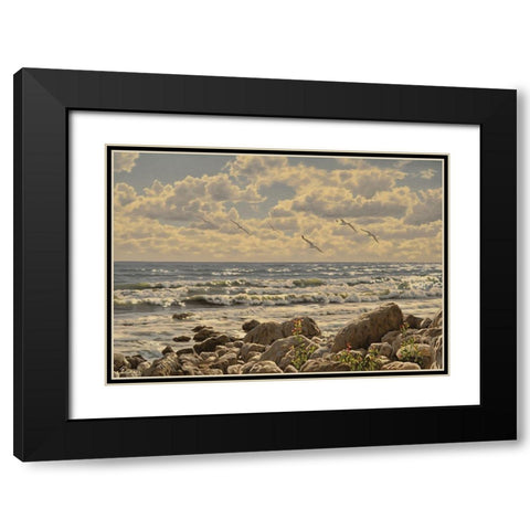 Sea, Etude of Stones Black Modern Wood Framed Art Print with Double Matting by Adamov, Alexey