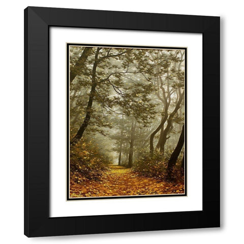 The Fog in Wood II Black Modern Wood Framed Art Print with Double Matting by Adamov, Alexey