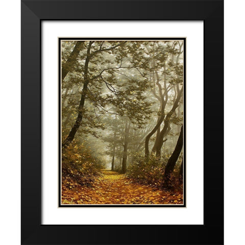 The Fog in Wood II Black Modern Wood Framed Art Print with Double Matting by Adamov, Alexey