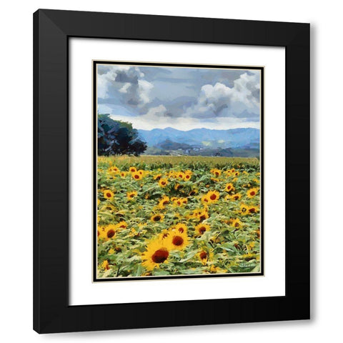 Sunflower Field Black Modern Wood Framed Art Print with Double Matting by Medeiros, Celito