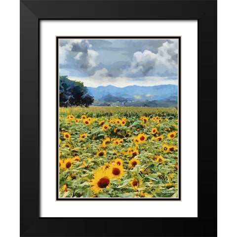 Sunflower Field Black Modern Wood Framed Art Print with Double Matting by Medeiros, Celito