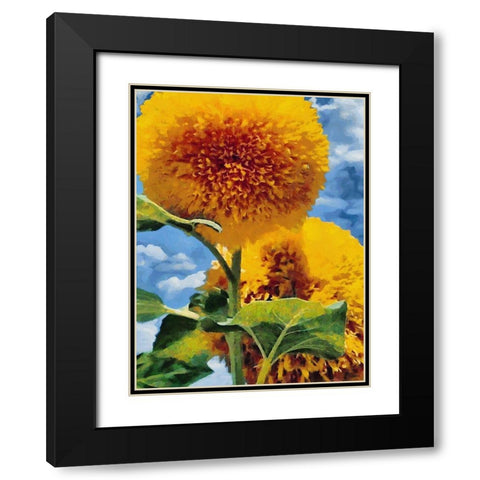 Two Sunflowers Black Modern Wood Framed Art Print with Double Matting by Medeiros, Celito