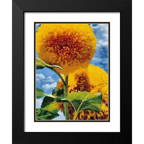 Two Sunflowers Black Modern Wood Framed Art Print with Double Matting by Medeiros, Celito