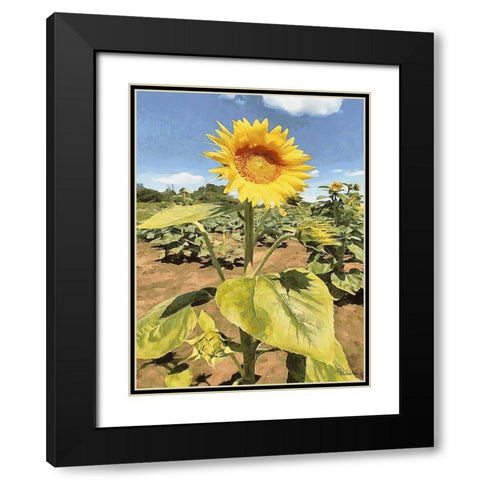 One Sunflower Black Modern Wood Framed Art Print with Double Matting by Medeiros, Celito