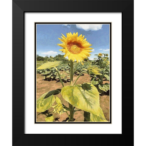 One Sunflower Black Modern Wood Framed Art Print with Double Matting by Medeiros, Celito