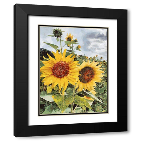 Sunflowers Collection I Black Modern Wood Framed Art Print with Double Matting by Medeiros, Celito