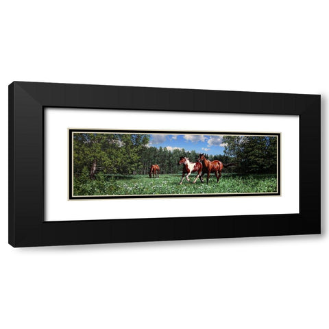 In the Summer Black Modern Wood Framed Art Print with Double Matting by Adamov, Alexey