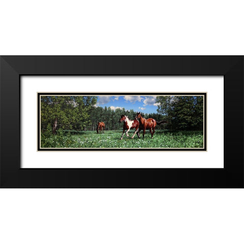 In the Summer Black Modern Wood Framed Art Print with Double Matting by Adamov, Alexey