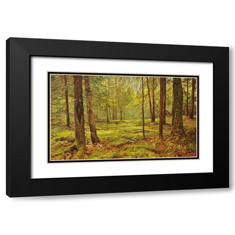 In the Wood Black Modern Wood Framed Art Print with Double Matting by Adamov, Alexey