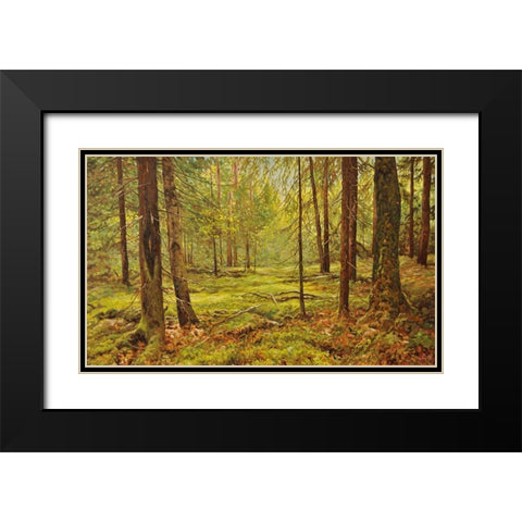 In the Wood Black Modern Wood Framed Art Print with Double Matting by Adamov, Alexey