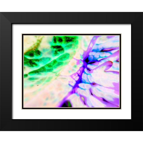 Biologic I Black Modern Wood Framed Art Print with Double Matting by Grayscale