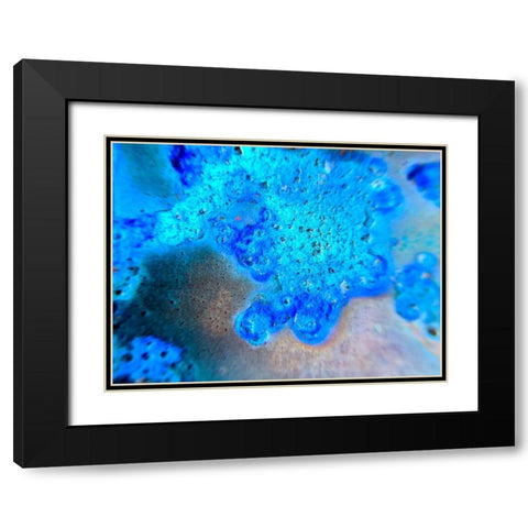 Blue Oxide Black Modern Wood Framed Art Print with Double Matting by Grayscale